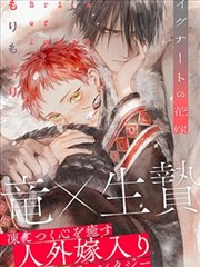 动漫漫画网点纸与刮网工具的特写